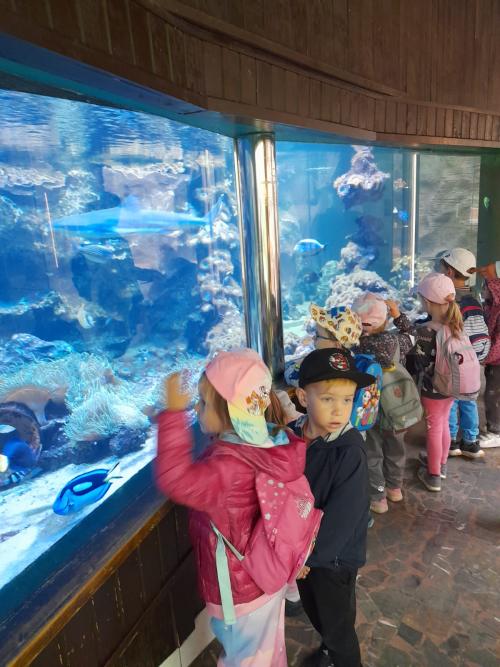 Výlet do ZOO Olomouc