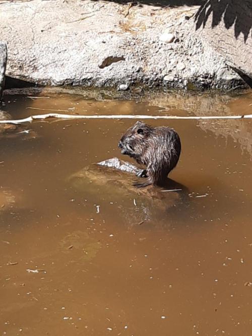 ZOO Vyškov