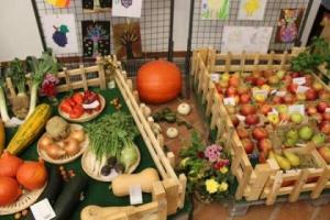 výstava ovoce a zeleniny